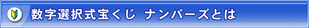 �����I�����󂭂� �i���o�[�Y�Ƃ�