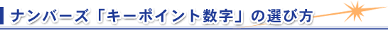 �i���o�[�Y�u�L�[�|�C���g�����v�̑I�ѕ�